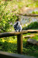 Selection of photos i took