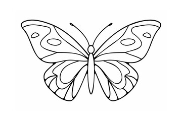 Delicate butterfly outline with intricate wing patterns