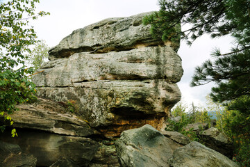 Landscape with rocks and boulders with green trees on a clear sunny day. Flora floristry landscaping plants flowers.