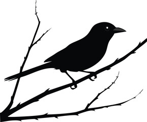 Elegant Bird Silhouette Vector EPS A Tanager Mid-Hop on Branches - Download Now