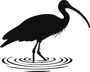 Elegant Ibis Bird Silhouette Vector EPS Illustration of a Wading Bird in Water