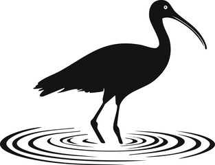 Elegant Ibis Bird Silhouette Vector EPS Illustration of a Wading Bird in Water