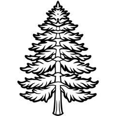 Obraz premium Cedar line art vector