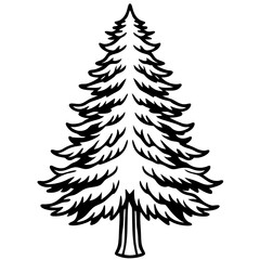 Cedar line art vector