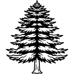 Obraz premium Cedar line art vector