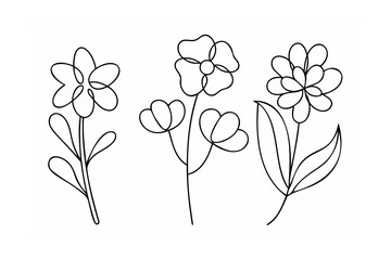 Simple floral line art flowers botanical