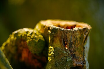 Selection of photos i took