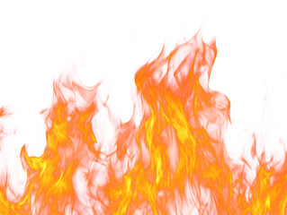 Fiery flames rise and dance against a clean, white background