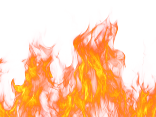 Fiery flames rise and dance against a clean, white background