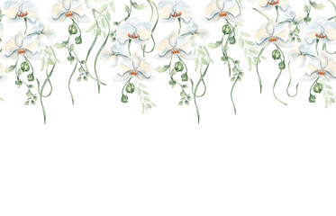 White orchid seamless border in watercolor with flowers, curly stems and botanical leaves hand drawn isolated on. Romantic floral repeated edge design for packaging, textile and elegant branding.