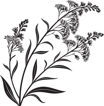 goldenrod flowers vector illustration transparent background