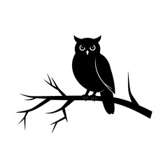 Fototapeta premium Silent Sentinel: An owl perched on a branch, a striking silhouette