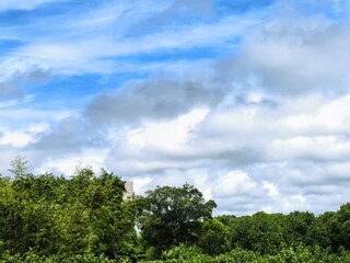 Obraz premium clouds over the forest