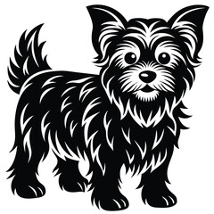 Monochrome Yorkshire terrier standing attentively creates a charming pet portrait with a transparent background