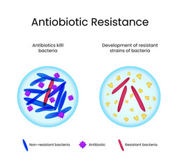 Antibiotic Resistance Development of Resistant Bacteria