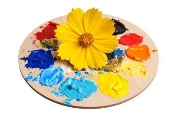 Coreopsis Bloom Bursting from a Cracked Paint Palette, Creative Energy Concept, Isolated on Transparent Background