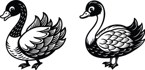 vector illustration of duck set. Elegant Black and White Swan Duck Illustrations Vector
