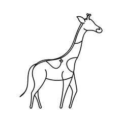 giraffe vector illustration