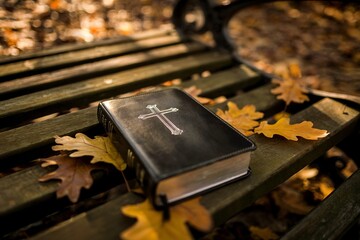 Bible on Wooden Bench Surrounded by Fallen Leaves in Autumn Forest