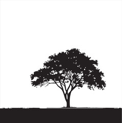 The Serene Beauty of Trees: Nature's Timeless Guardians