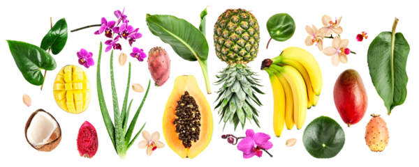 Collection of tropical fruits, flowers, leaves photography isolated. .PNG with transparent background. Flat lay. Without shadow