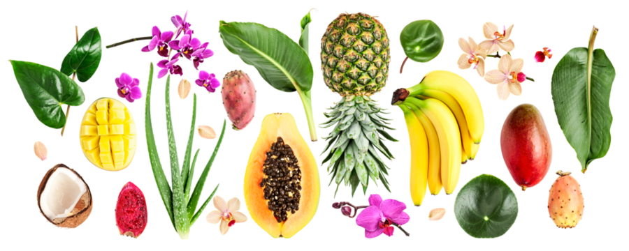 Collection of tropical fruits, flowers, leaves photography isolated. .PNG with transparent background. Flat lay. Without shadow