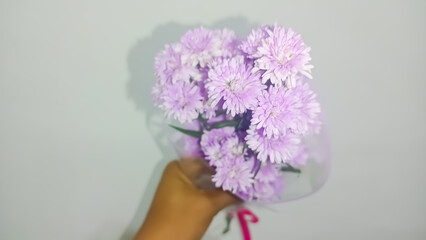 Isolated white of purple chysanthemums flower bouquet as natural background