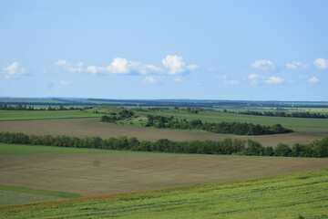Obraz premium petrified rocks in Ukraine