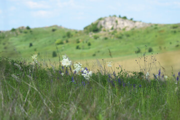 petrified rocks in Ukraine