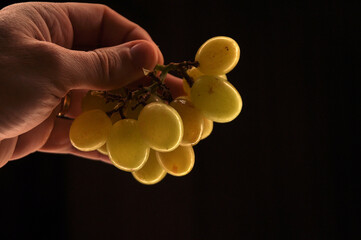 mão segurando uvas 