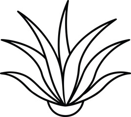 air plant icon vector line art on transparent background