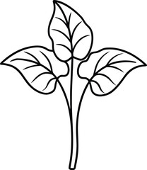 anthurium plant icon vector line art on transparent background