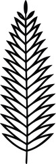 Fototapeta premium boston fern icon vector line art on transparent background