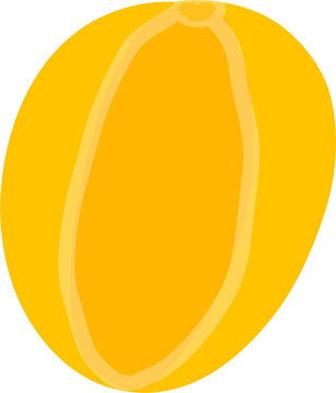 Korean Yellow Melon Illustration &ndash; Chamoe Fruit Clipart