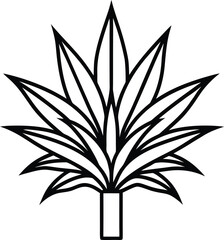 dracaena icon vector line art on transparent background