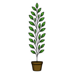 A vector illustration of a stylized potted plant with vibrant green leaves, exhibiting a minimalist design aesthetic perfect for home decor or botanical-themed projects.