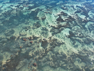 Aerial view of coastline