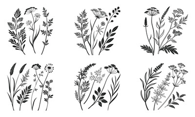 Botanical Herb Silhouette Collection Minimal Thin Line Black Vector Design Isolated on White.