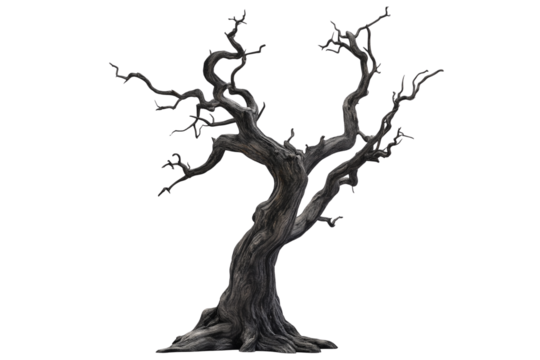 Haunted Dry Tree Illustration Isolated on White