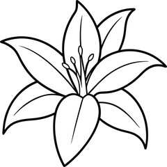 lily flower icon vector line art on transparent background