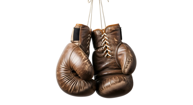 Vintage boxing gloves