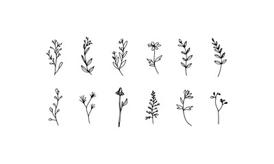Upright Thin Flowers. Upright thin-stemmed flowers with small petals and light linear drawing for clean botanical designs.