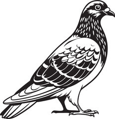 vector illustration of a bird