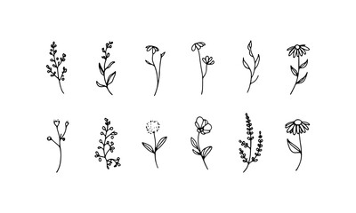 Simplified Botanical Sprigs. Simplified floral sprigs with oval petals and minimal hand-drawn elegance in black and white.