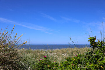 Dünen