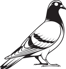 Fototapeta premium vector illustration of a dove