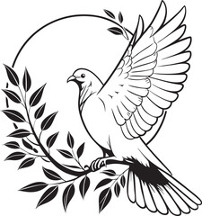 white dove on a branch