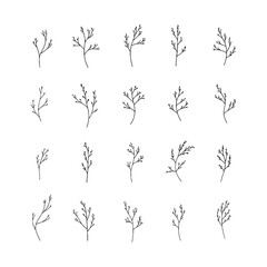 Simple Botanical Twigs. A minimalist arrangement of hand-drawn botanical twigs with clean, natural lines and delicate leaves, perfect for subtle nature-themed compositions.
