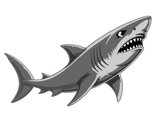 Great white shark cartoon vector illustration isolated on white background