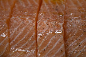 Raw salmon fillets with oil and pepper